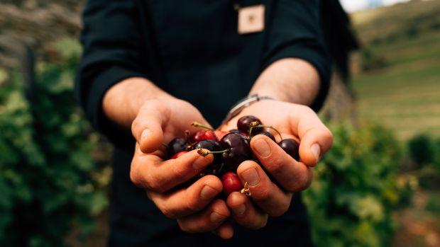 Quinta Nova de Nossa Senhora do Carmo - Image 2 Quinta Nova de Nossa Senhora do Carmo - Image 2